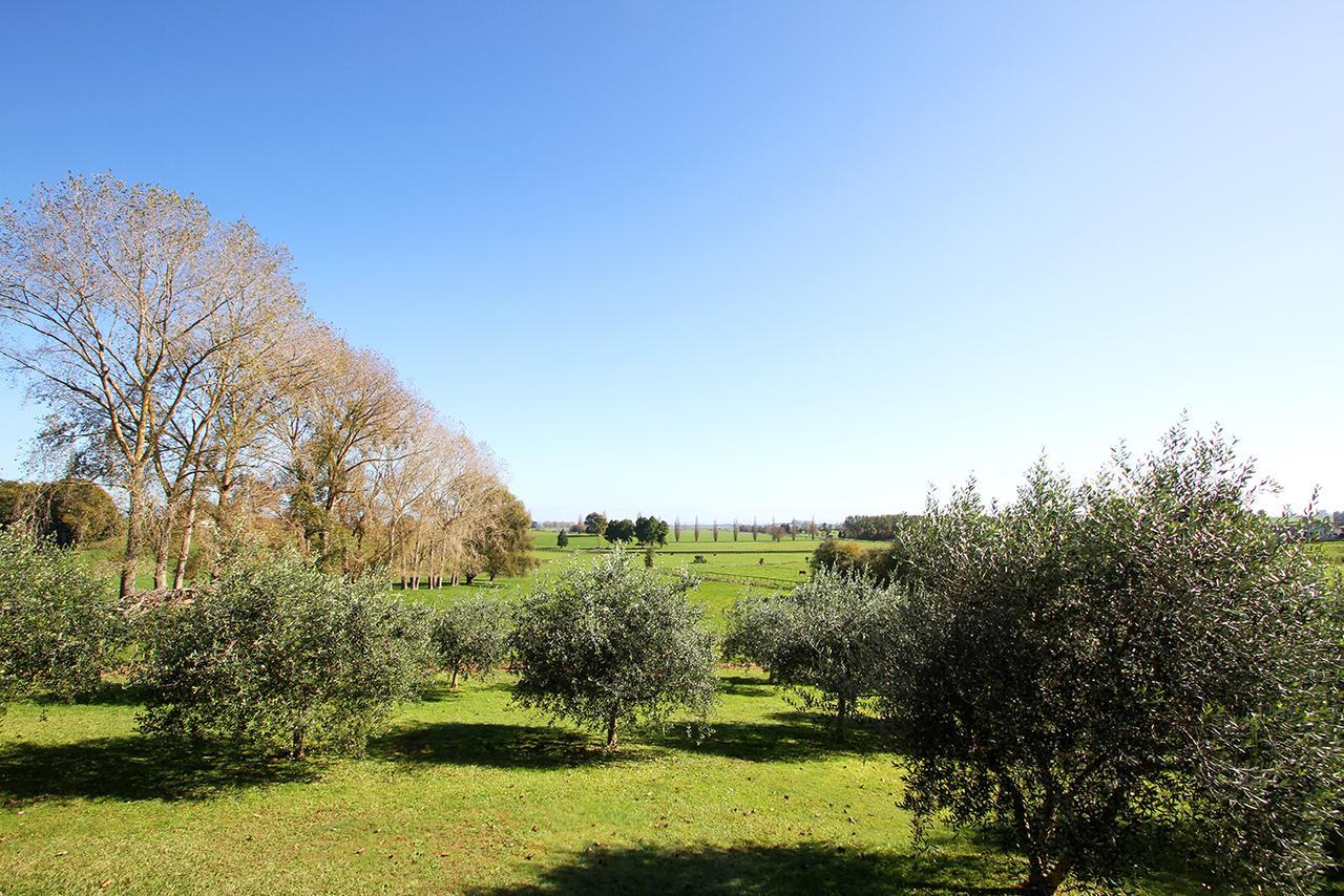 Ohaupo Olives Bed & Breakfast Bagian luar foto